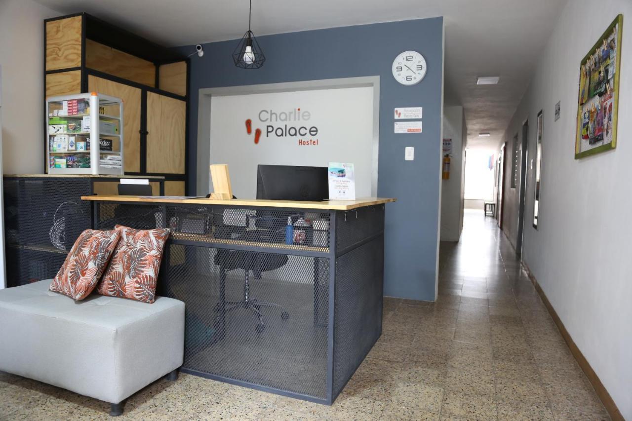 Charlie Palace Hostel Medellín Kültér fotó